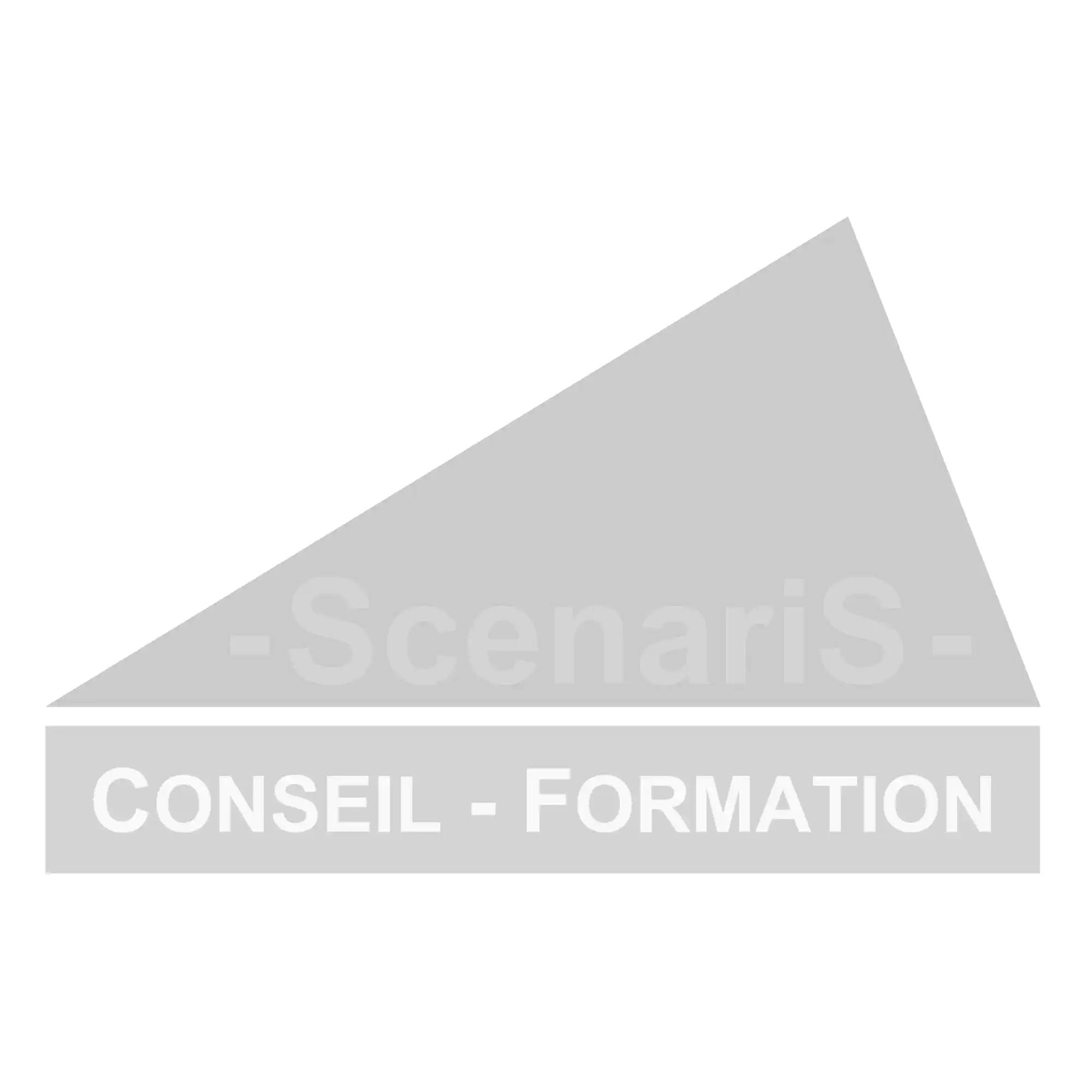 Logo ScenariS